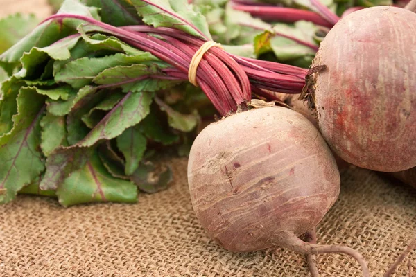 Organic turnips — Stock Photo #3236269