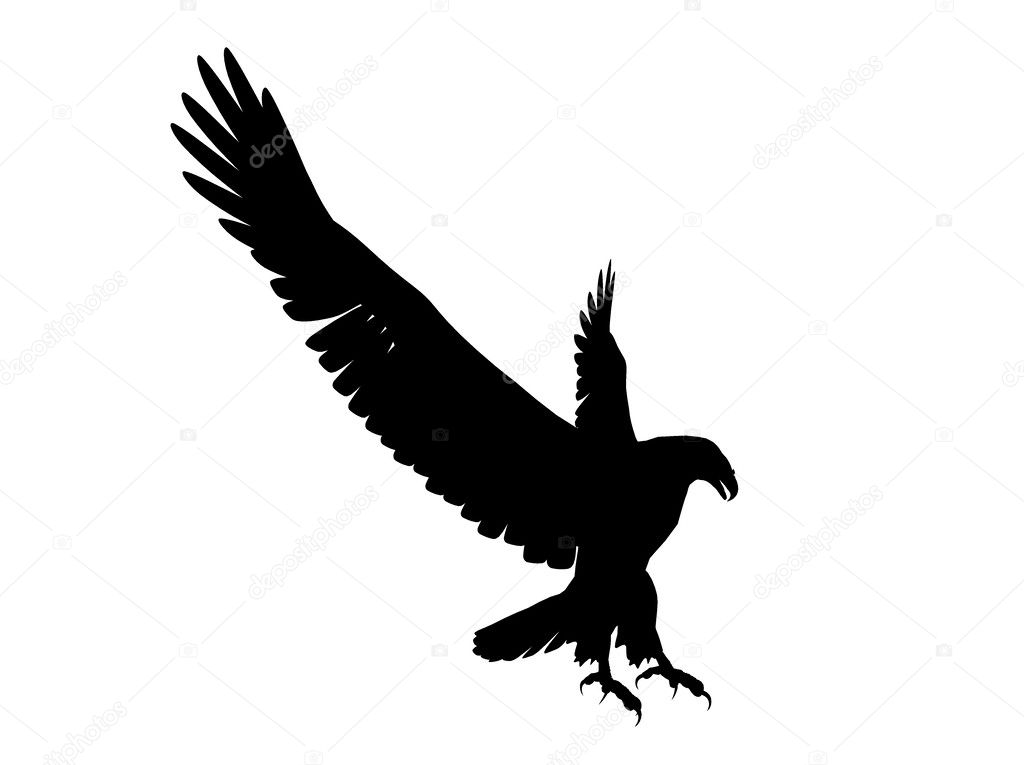 Flying Eagle Silhouette