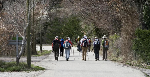 Group of hikers