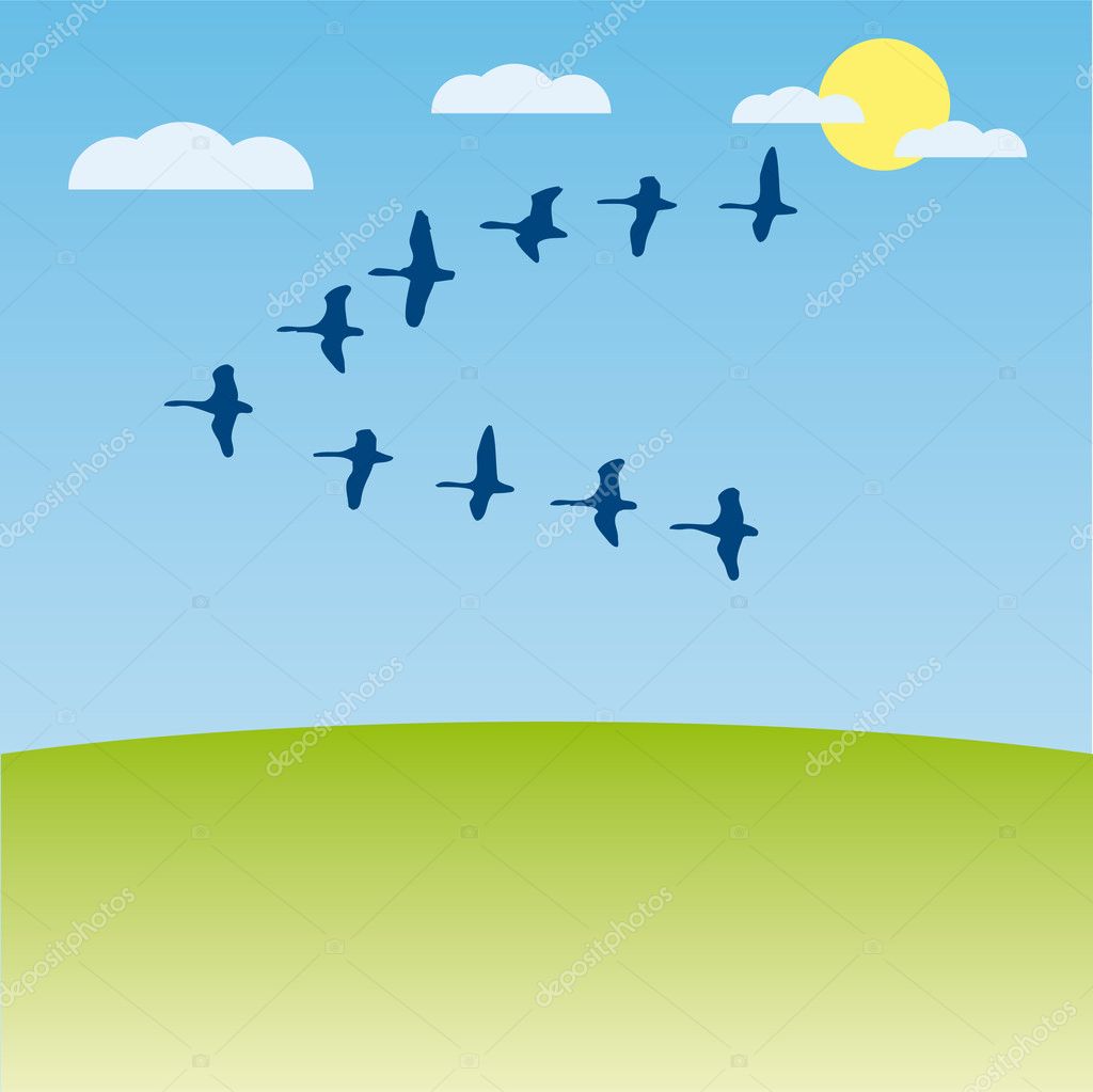 birds migrating cartoon