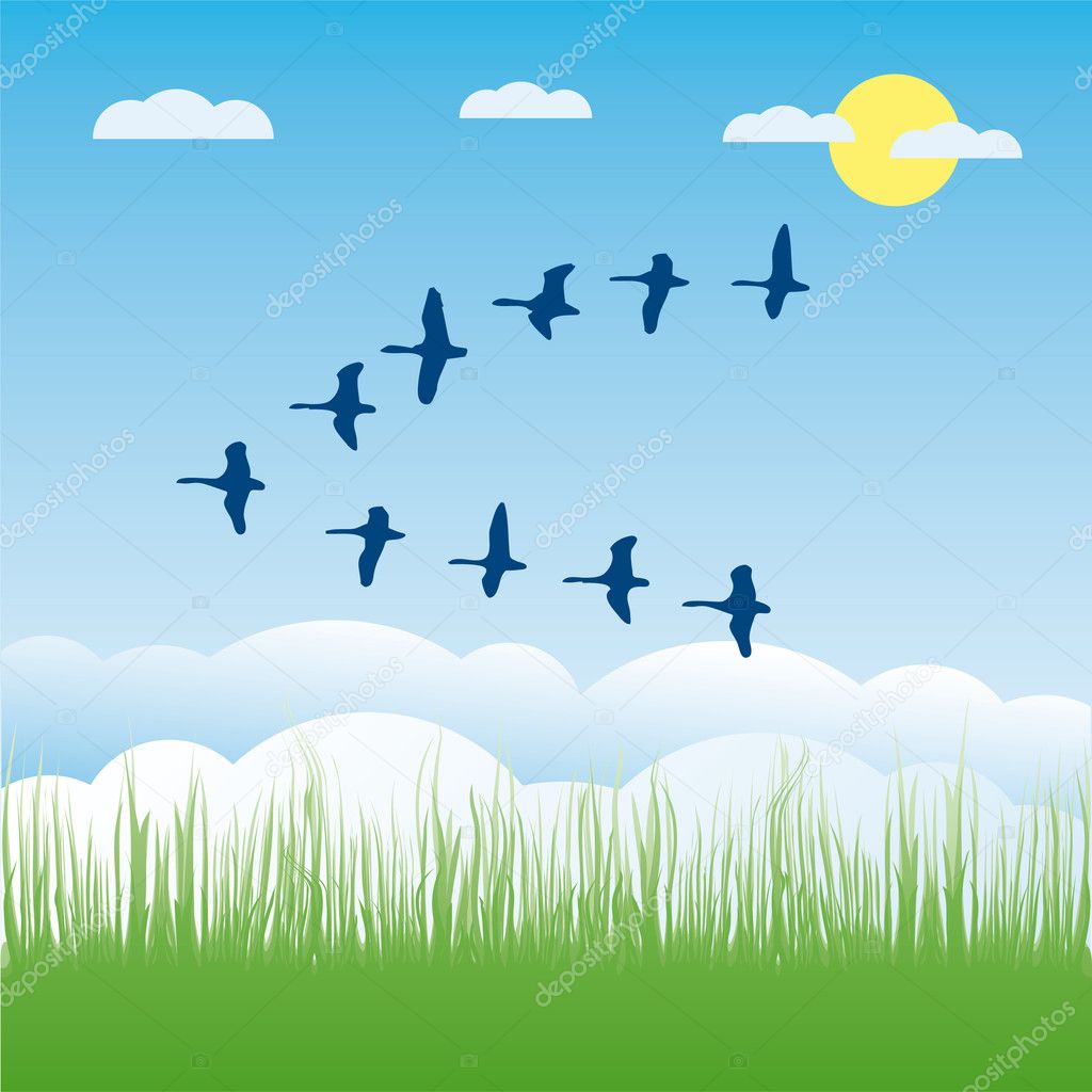 Birds migratory vector illustration cartoon — Stock Vector © alvaroc