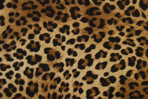 Leopard Background on Leopard Background   Stock Photo    Alida Vanni  3382879