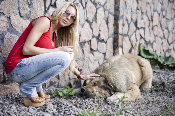 woman dog knotted woman knotted dog video dog knottedin woman