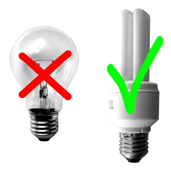 Traditional Light Bulbs on Traditional Vs Fluorescent Light Bulb   Stock Photo    Claudio Divizia