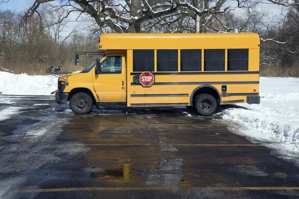 Small school bus on the parking lot
