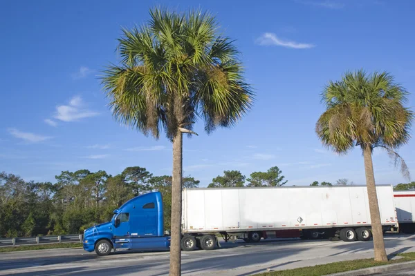 Semi-Truck parked under palms