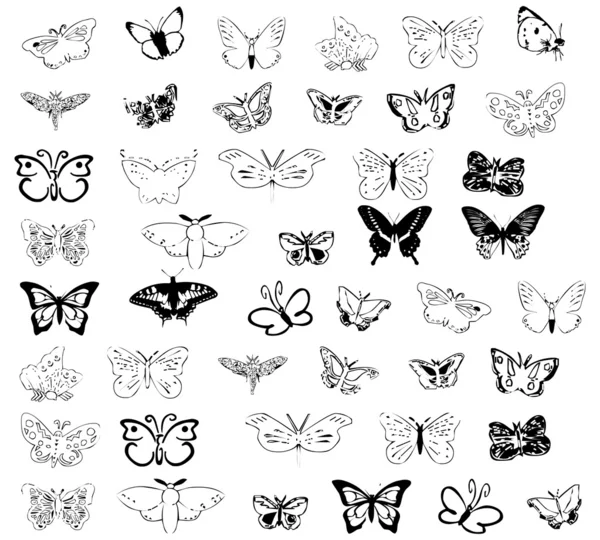 pics of butterflies. Drawings of butterflies.