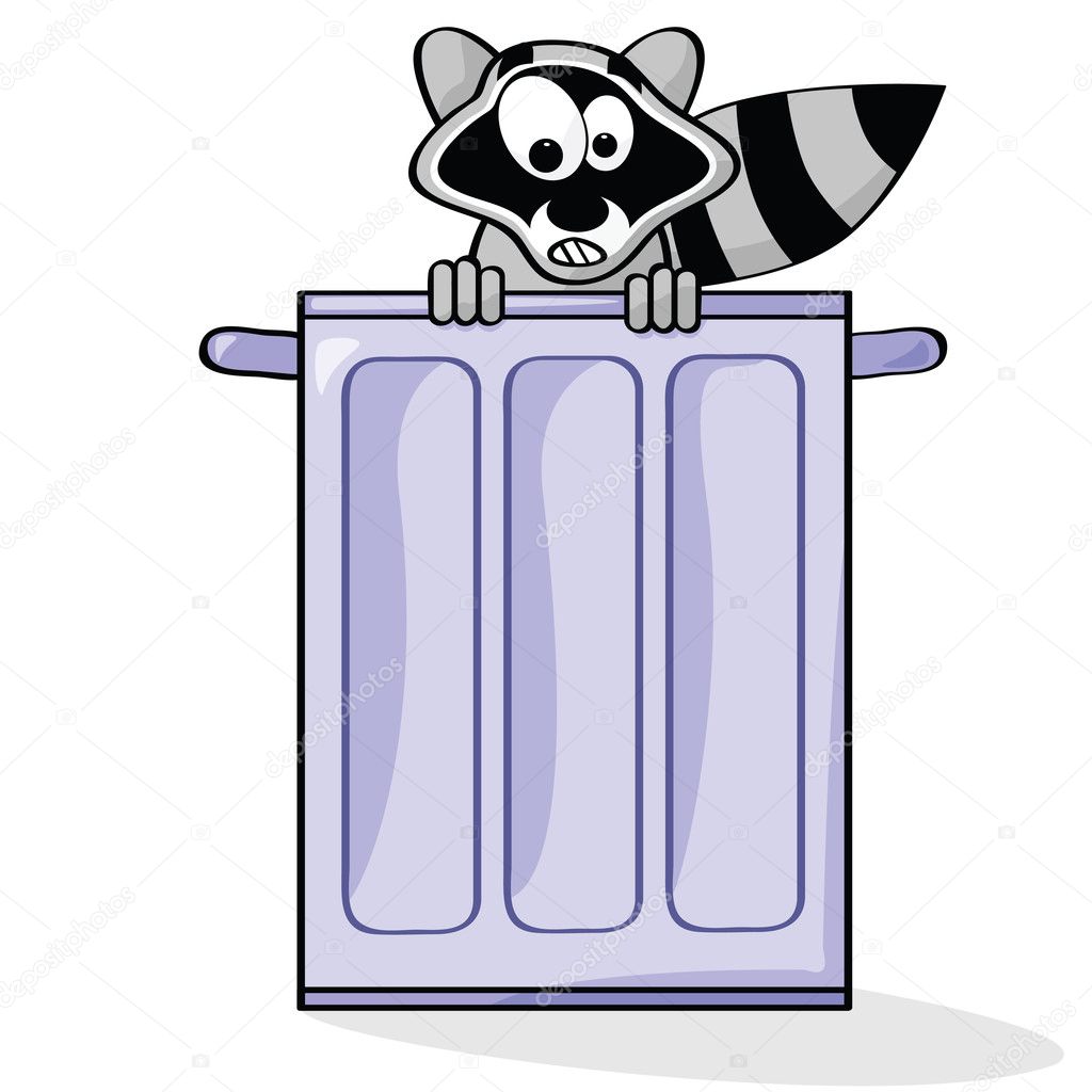 Cartoon Raccoon Images