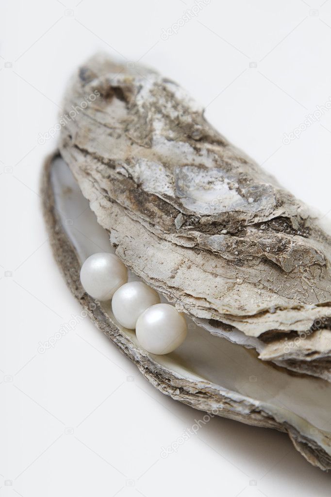 Pearl From Oyster