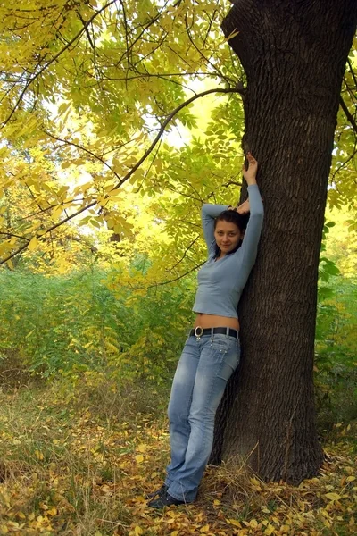 秋天公园里的年轻女子 图库图片