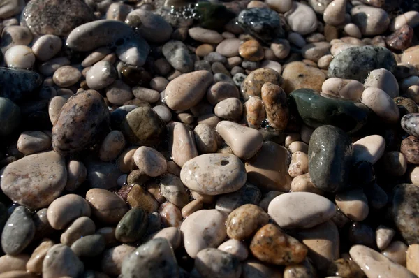 湿的鹅卵石背景 — 图库照片