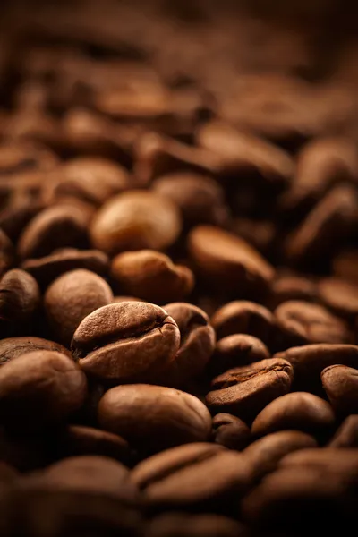 Kávová zrna Stock Snímky