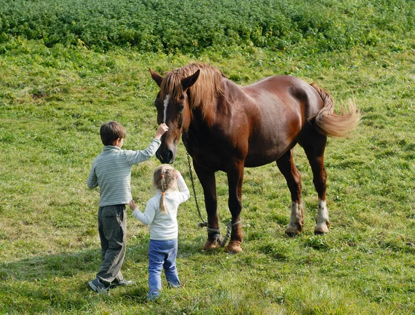 Kids and horses — Stock Photo, Image