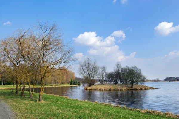 The shore of the lake in spring — Stock Photo, Image