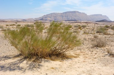 makhtesh ramon, negev Çölü