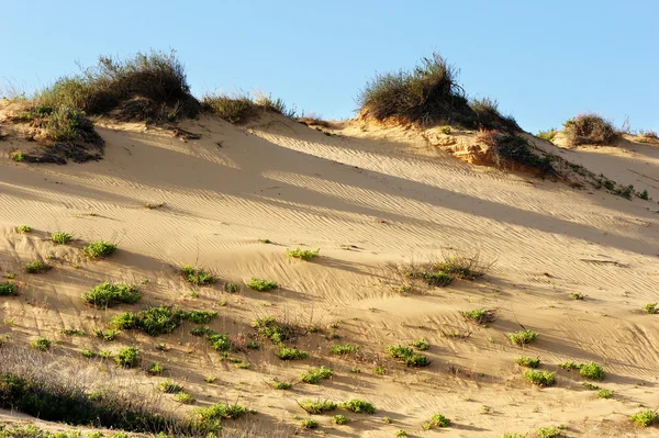 The sand — Stock Photo, Image