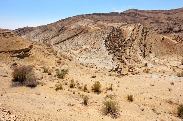 Makhtesh Ramon, deserto de Negev — Fotografia de Stock