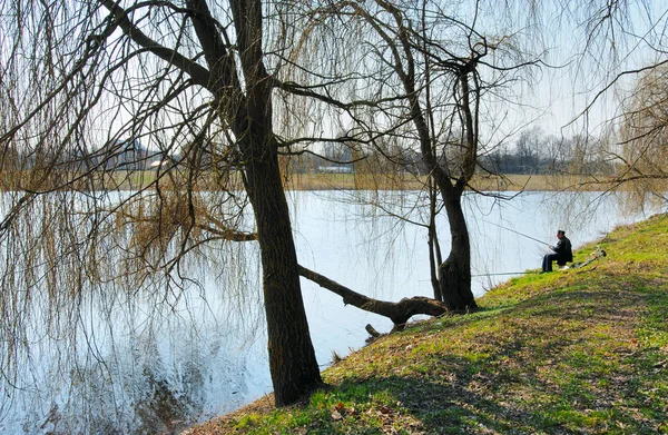 Na břehu jezera na jaře — Stock fotografie