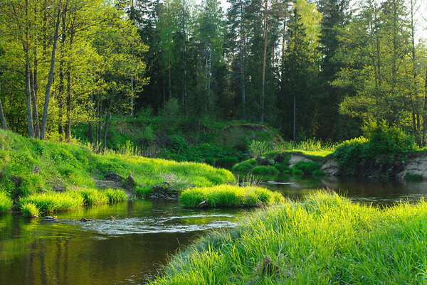 Small river Isloch flowing through the forest.