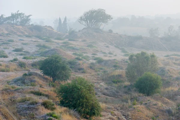Nevoeiro no Israel — Fotografia de Stock