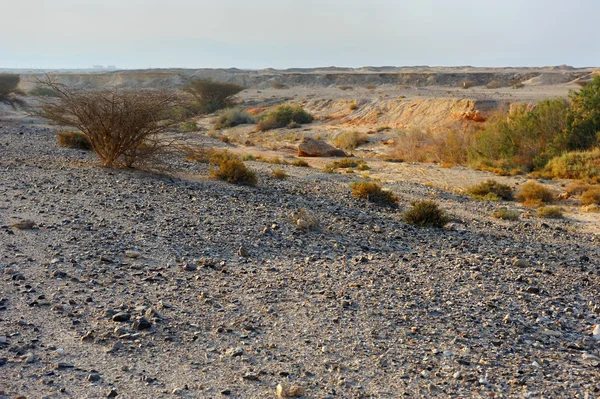 ทะเลทราย Arava ในรังสีแรกของดวงอาทิตย์ — ภาพถ่ายสต็อก