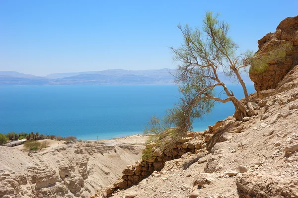 View of the Dead Sea from the slopes of the Judean mountains. — Stock Photo, Image
