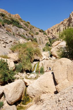 Ein gedi tabiatı ölü deniz kıyısı