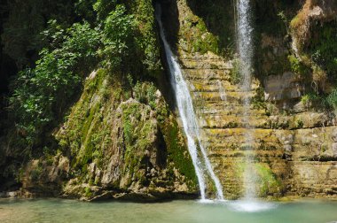 Ein Gedi Nature Reserve off the coast of the Dead Sea clipart