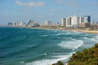 Sea coast and the view of Tel Aviv clipart