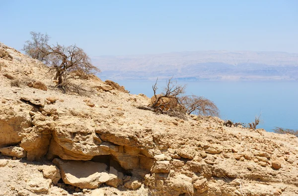 ユダヤ丘陵の斜面から死海のビュー. — ストック写真
