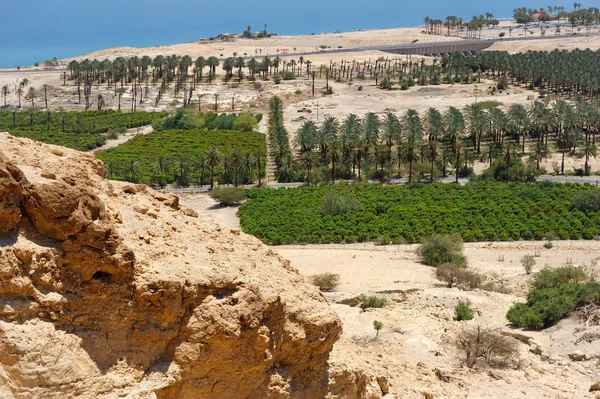 stock image View of the Dead Sea from the slopes of the Judean mountains.