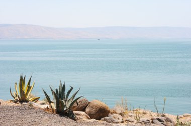 kinneret Gölü kıyısında