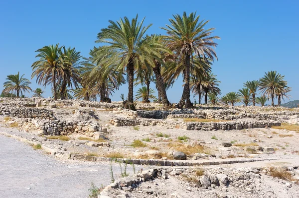 Biblické místo Izraele: Megiddo — Stock fotografie