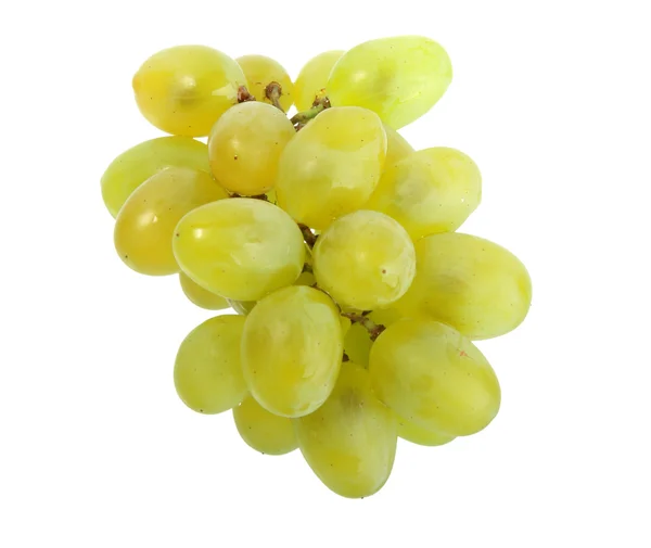 Um único ramo de uva branca — Fotografia de Stock