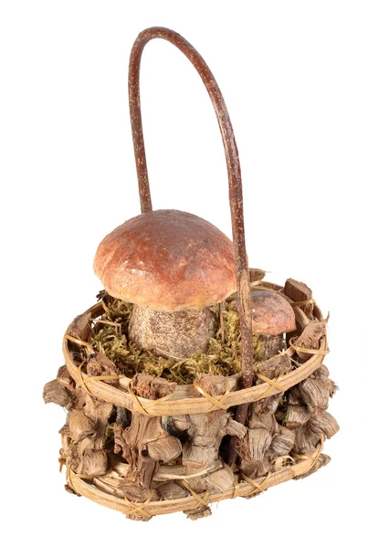 Корзина с двумя коричневыми грибами — стоковое фото
