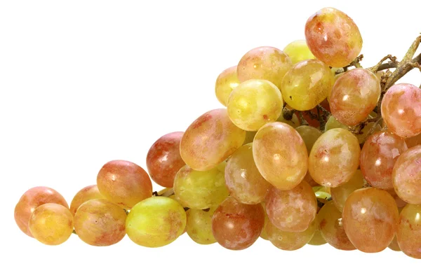 Bando único de uvas amarelas — Fotografia de Stock