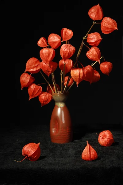 Bouquet with dry orange flowers — Stock Photo, Image