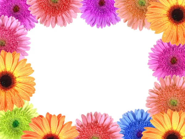 Рамка с цветами — стоковое фото