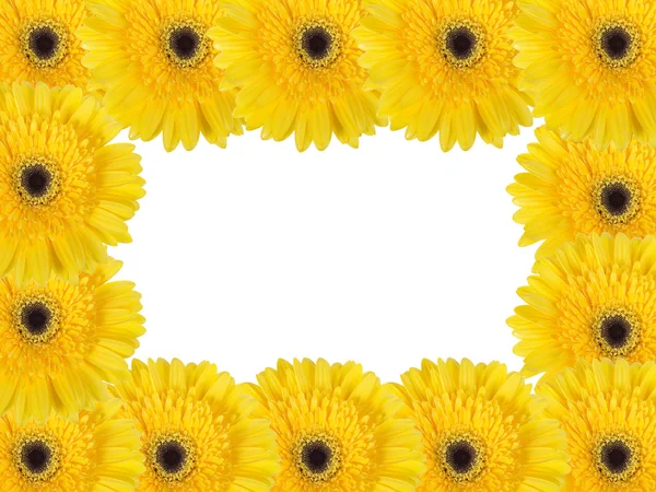 Abstract frame with yellow flowers — Stock Photo, Image