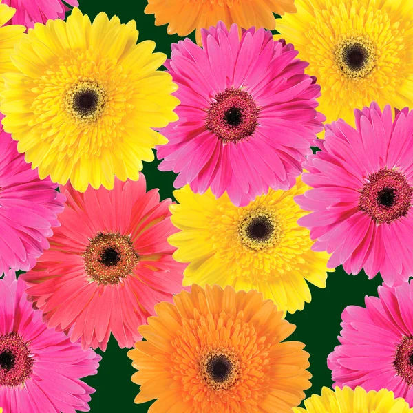 Background of pink, yellow and orange flowers — Stock Photo, Image