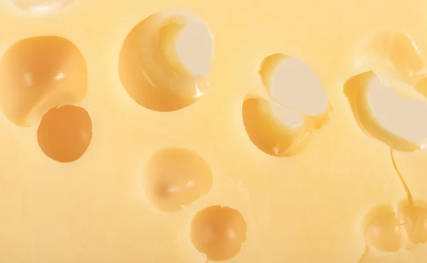 Fundo abstrato de queijo amarelo — Fotografia de Stock