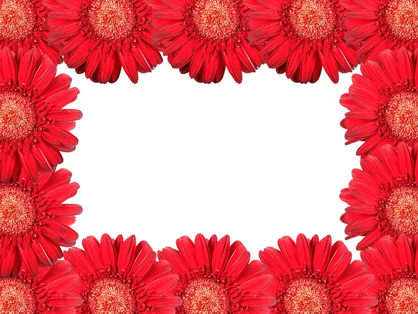 Abstract frame met rode bloemen — Stockfoto