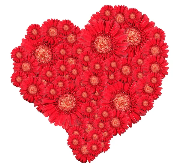 Bukett röda blommor som hjärtat-form — Stockfoto