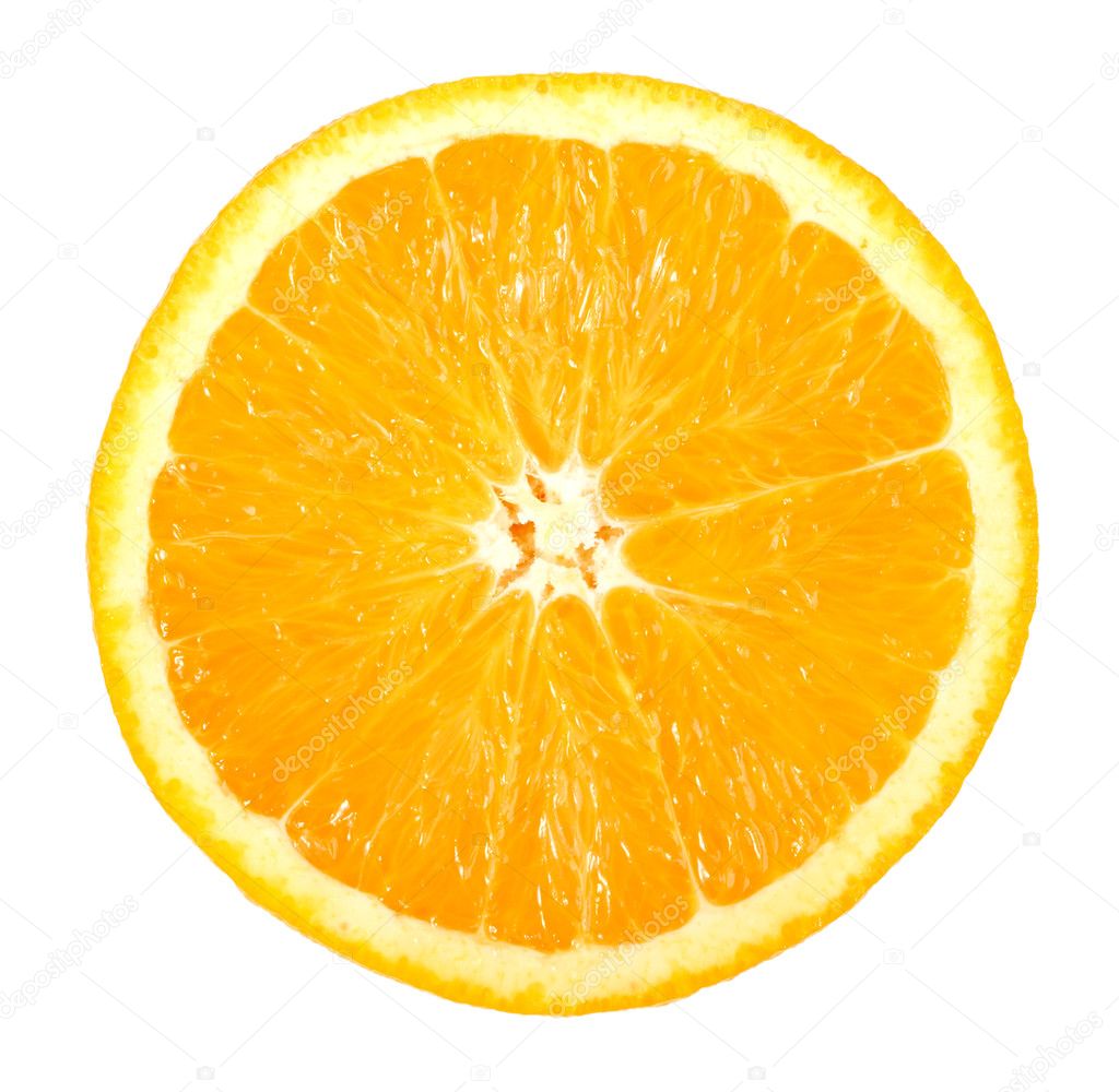 オレンジ色の単一のクロス セクション— ストックイラストレーション by © boroda #3291018, image size:1024x1000