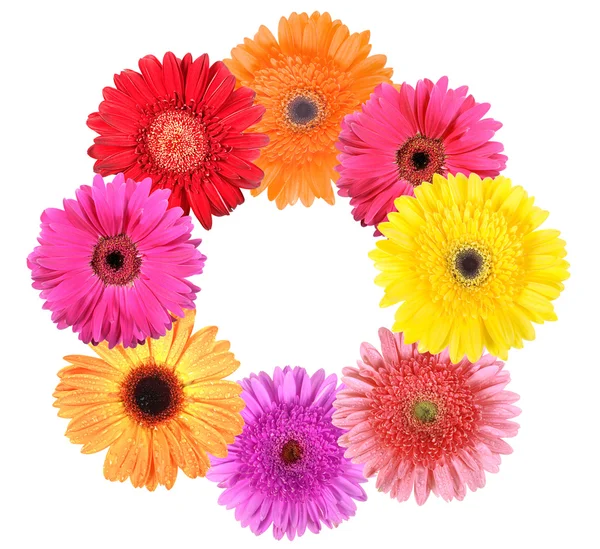 Frame as ring of flowers — Stock Photo, Image