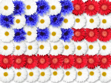 Background of flowers as USA flag clipart