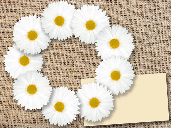 Abstrakt ram med vita blommor — Stockfoto