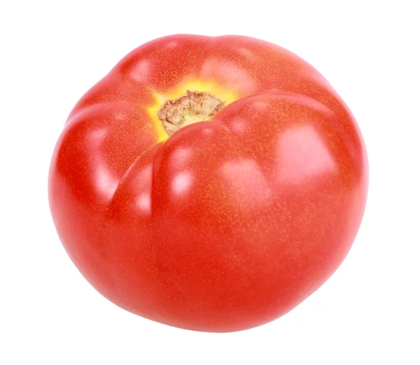 Één rode tomaten — Stockfoto