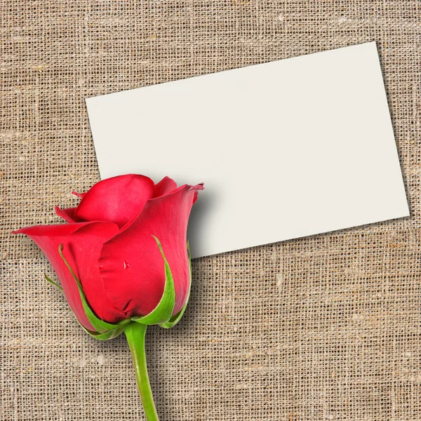 stock image One red rose and message-card