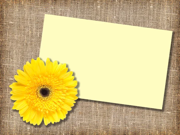 Una flor amarilla con tarjeta de mensaje — Foto de Stock